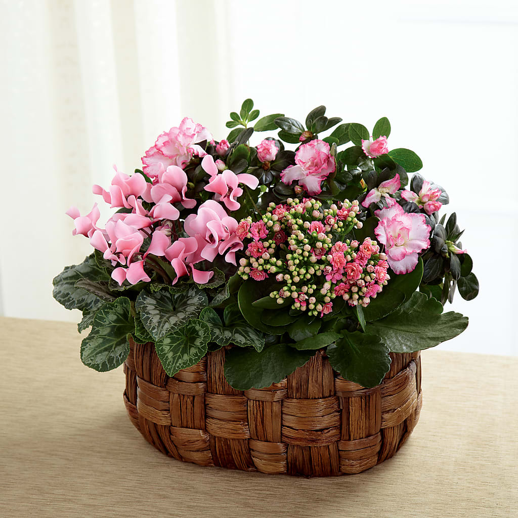 Pink Assortment – Fairy Queen Floral, Madera CA