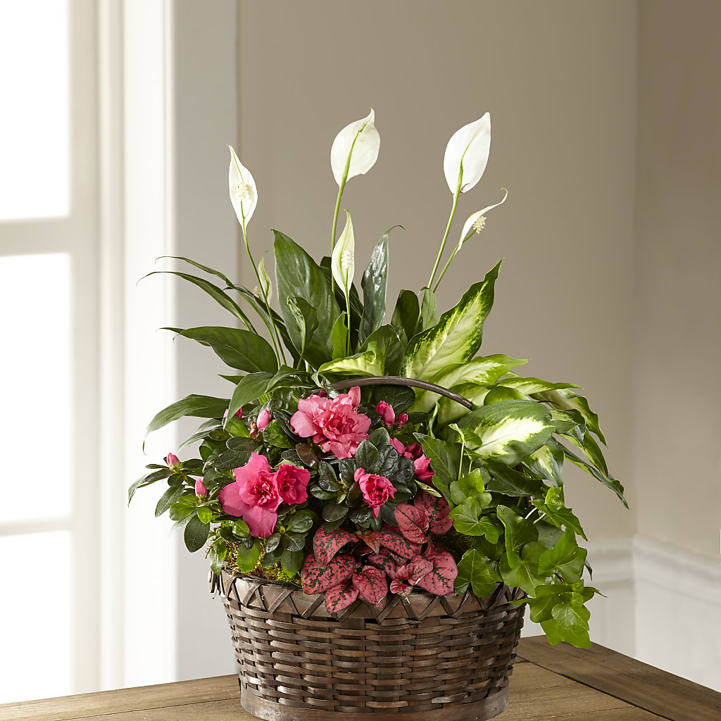 Dream in Pink Dishgarden – Fairy Queen Floral, Madera CA