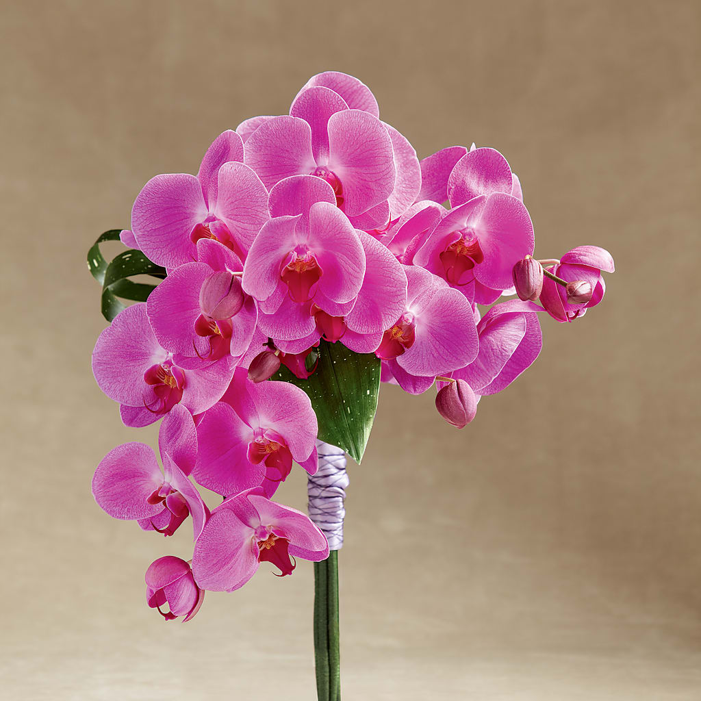 Glorious Bouquet – Fairy Queen Floral, Madera CA