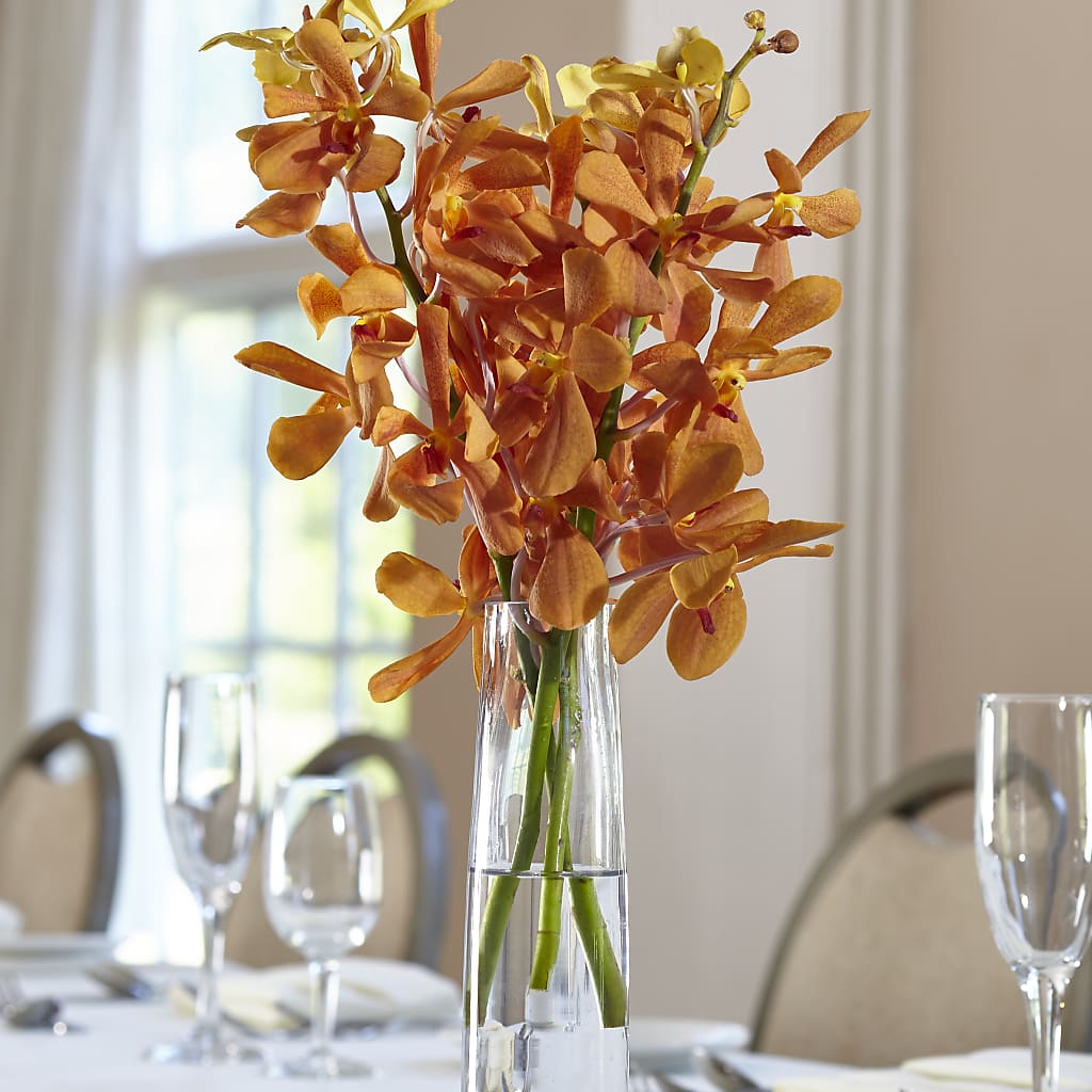 Orange Mokara Bud Vase – Fairy Queen Floral, Madera CA