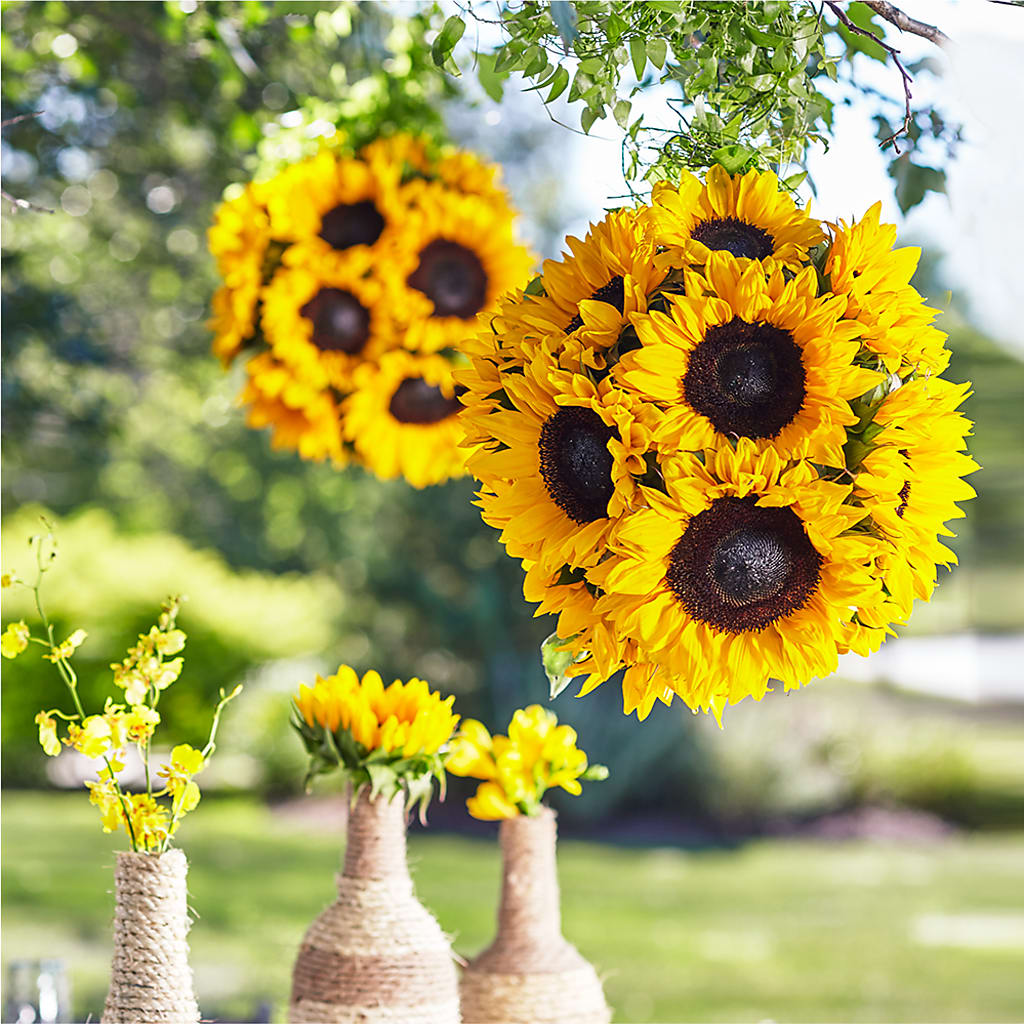 Sublime Garden Hanging Arrangement – Fairy Queen Floral, Madera CA
