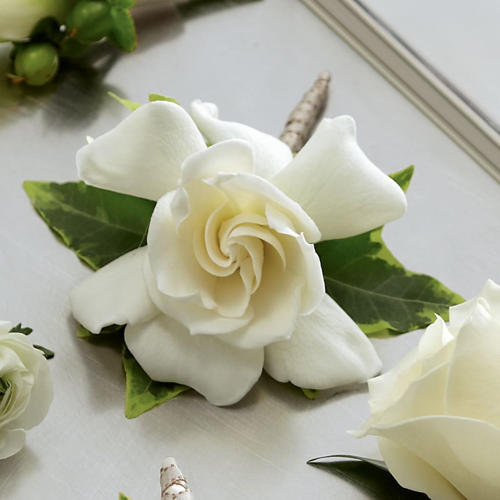 Gardenia Boutonniere – Fairy Queen Floral, Madera CA