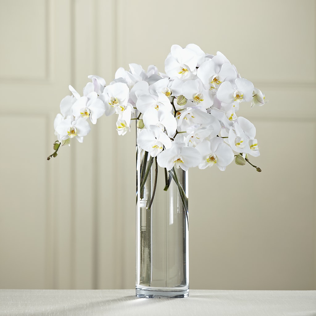 White Phalaenopsis Bouquet – Fairy Queen Floral, Madera CA