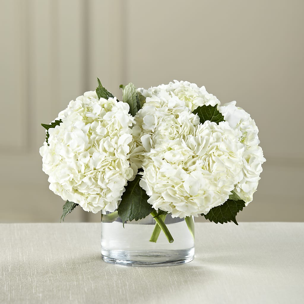 White Hydrangea Bouquet – Fairy Queen Floral, Madera CA
