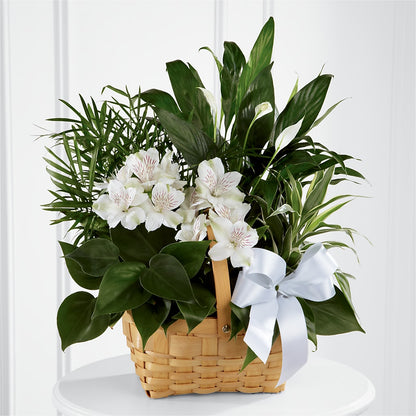 Peace & Serenity Dishgarden –  Fairy Queen Floral, Madera CA