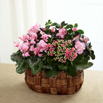 Pink Assortment –  Fairy Queen Floral, Madera CA
