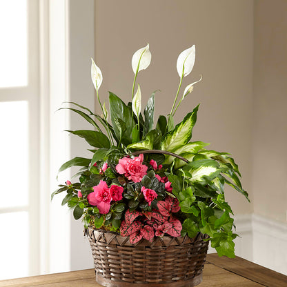 Dream in Pink Dishgarden –  Fairy Queen Floral, Madera CA