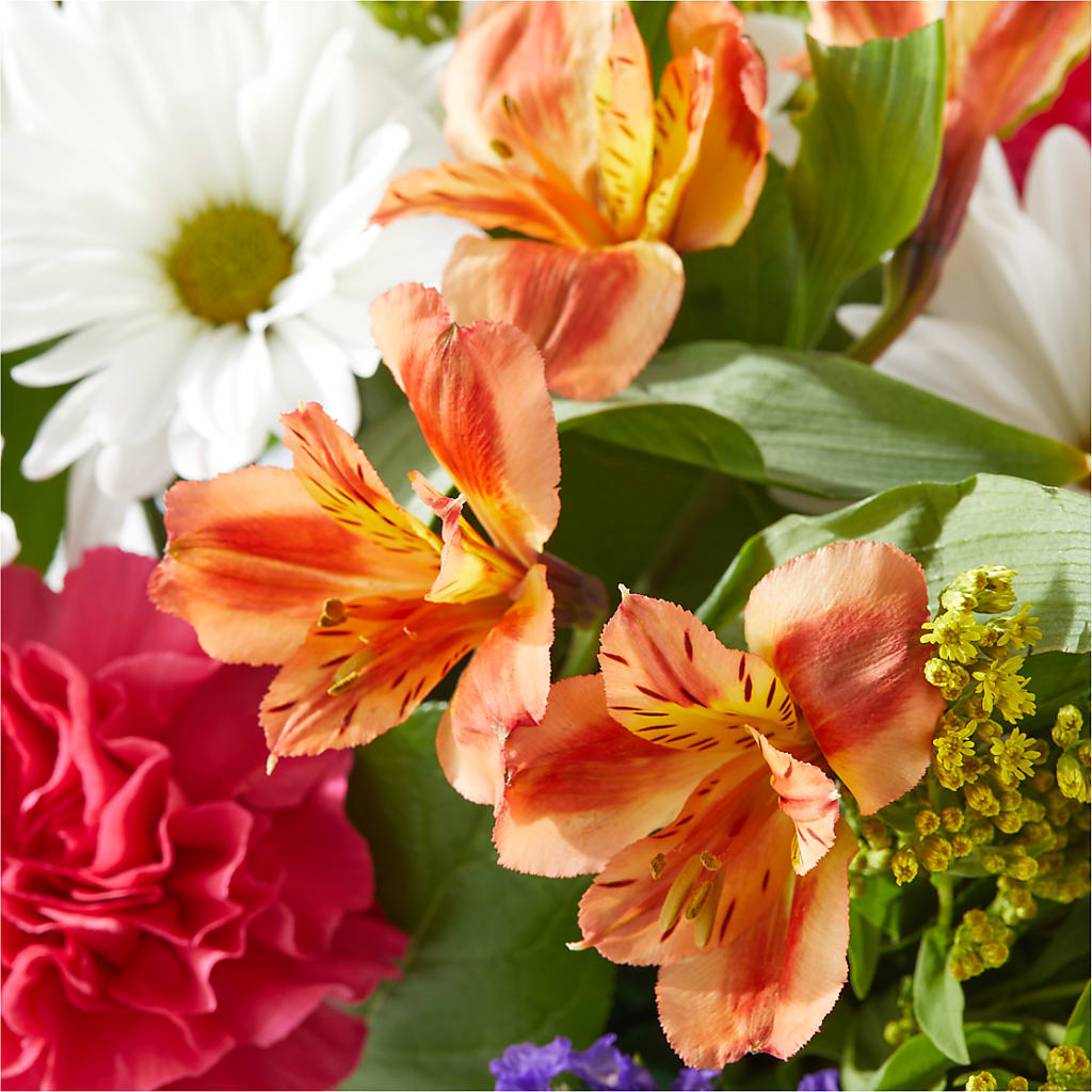 Oopsie Daisy Box Bouquet –  Fairy Queen Floral, Madera CA