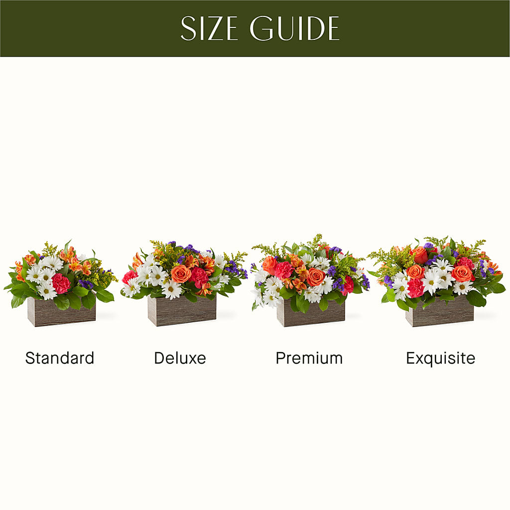Oopsie Daisy Box Bouquet –  Fairy Queen Floral, Madera CA