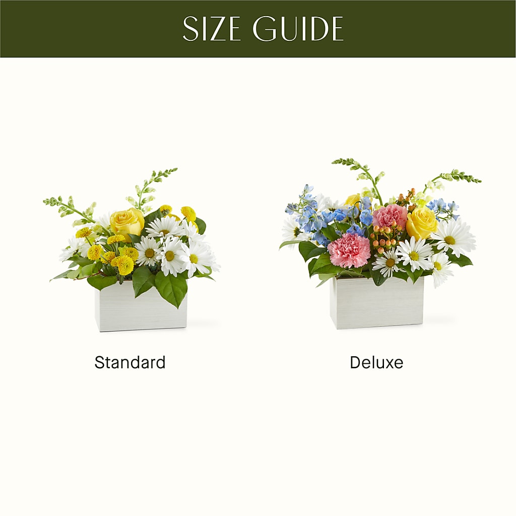 Sun Salutation Box Bouquet –  Fairy Queen Floral, Madera CA