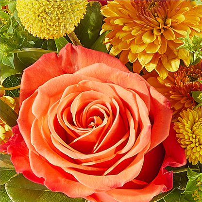 Gourdgeous Pumpkin –  Fairy Queen Floral, Madera CA