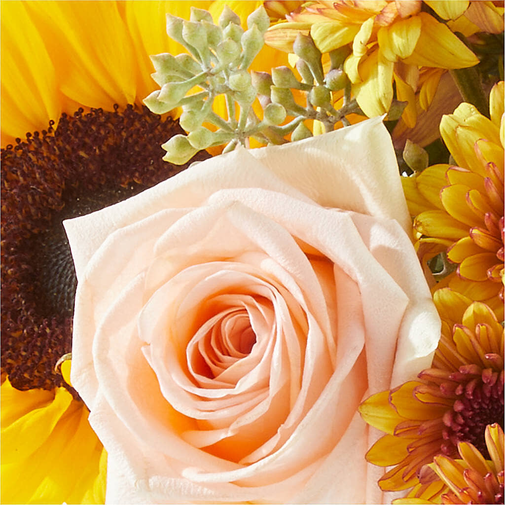 Pumpkin to Talk About Bouquet –  Fairy Queen Floral, Madera CA