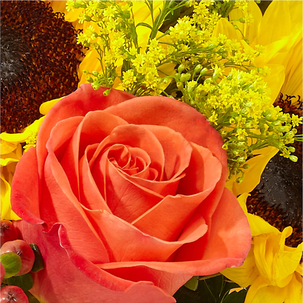Pick of the Patch Pumpkin Bouquet –  Fairy Queen Floral, Madera CA