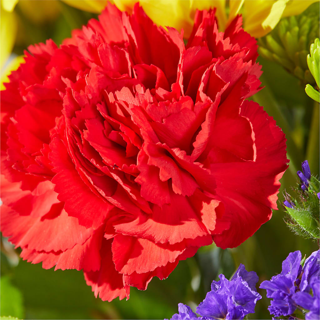Brighter Days Bouquet –  Fairy Queen Floral, Madera CA