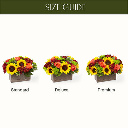 Happy Harvest Garden –  Fairy Queen Floral, Madera CA