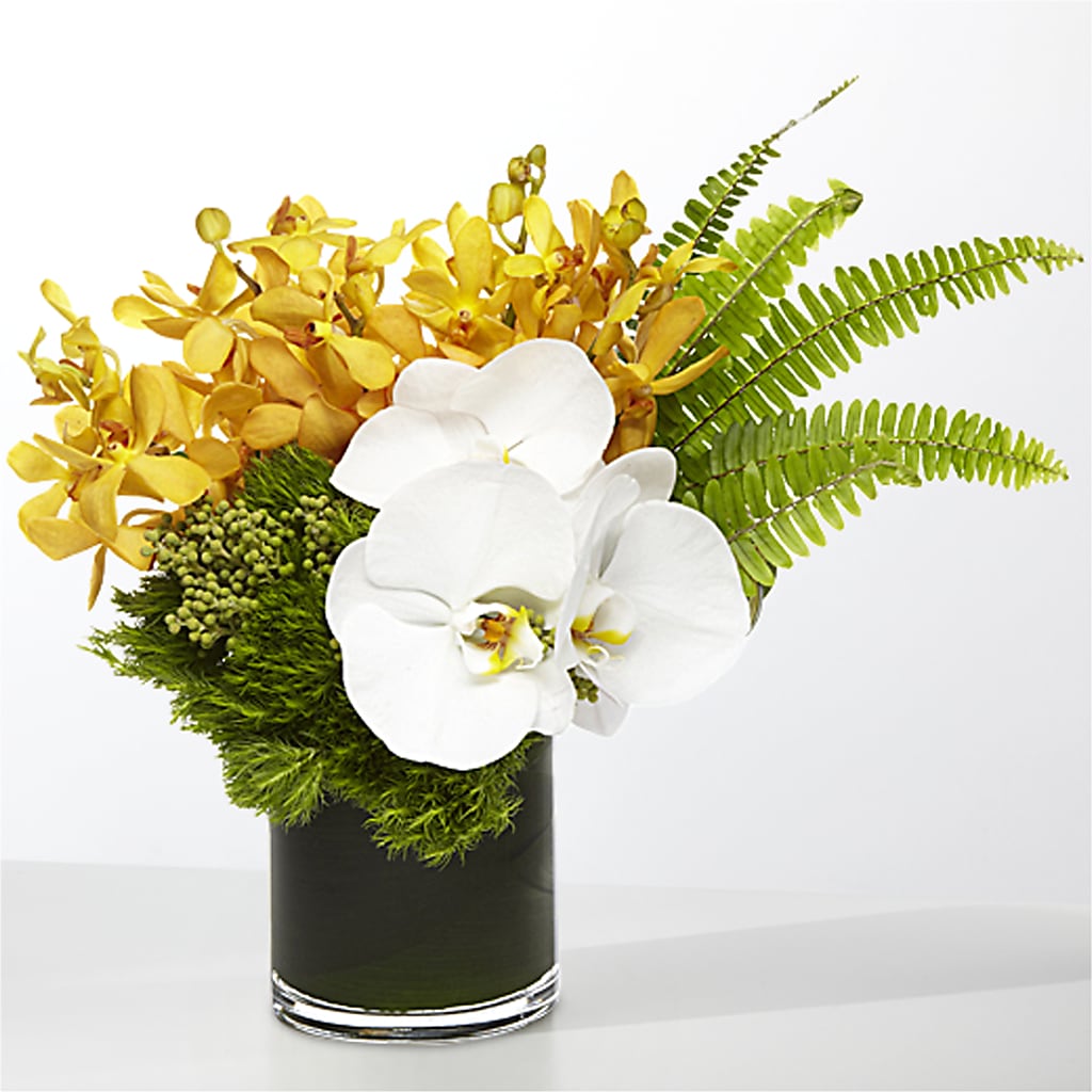 The Tropics –  Fairy Queen Floral, Madera CA