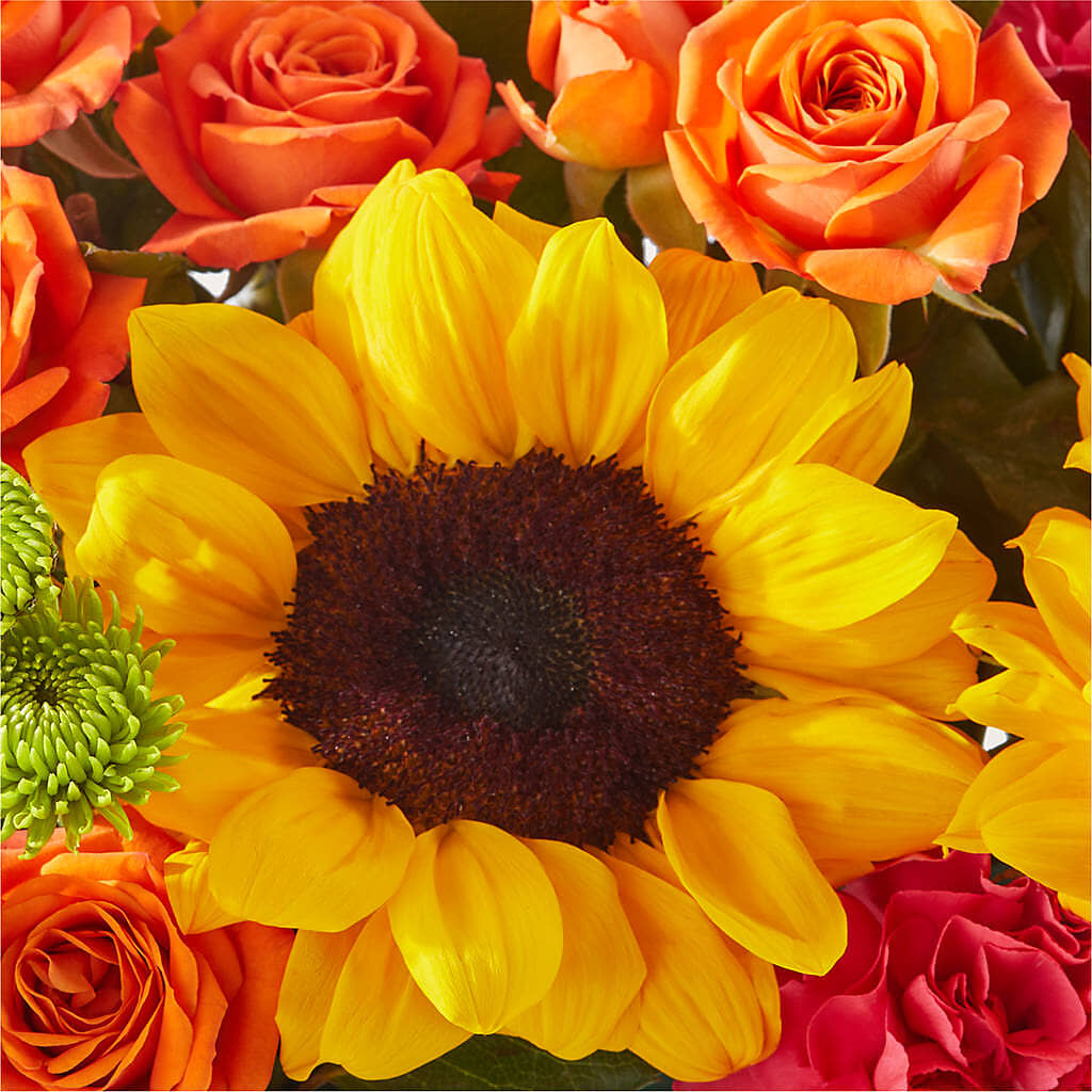 Sun-drenched Blooms Box Bouquet –  Fairy Queen Floral, Madera CA
