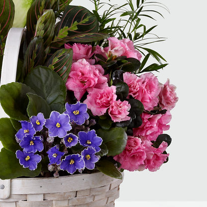 Peaceful Garden Planter –  Fairy Queen Floral, Madera CA