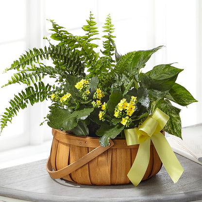 Always Dear Dishgarden –  Fairy Queen Floral, Madera CA