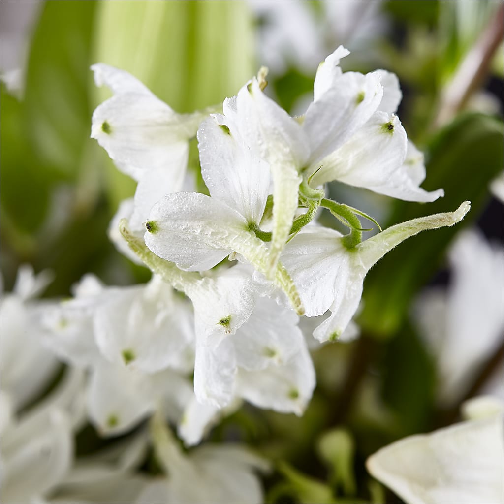 Classic Ivory – A Florist Original –  Fairy Queen Floral, Madera CA