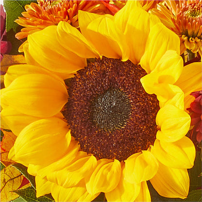 Sunny Side Bouquet –  Fairy Queen Floral, Madera CA