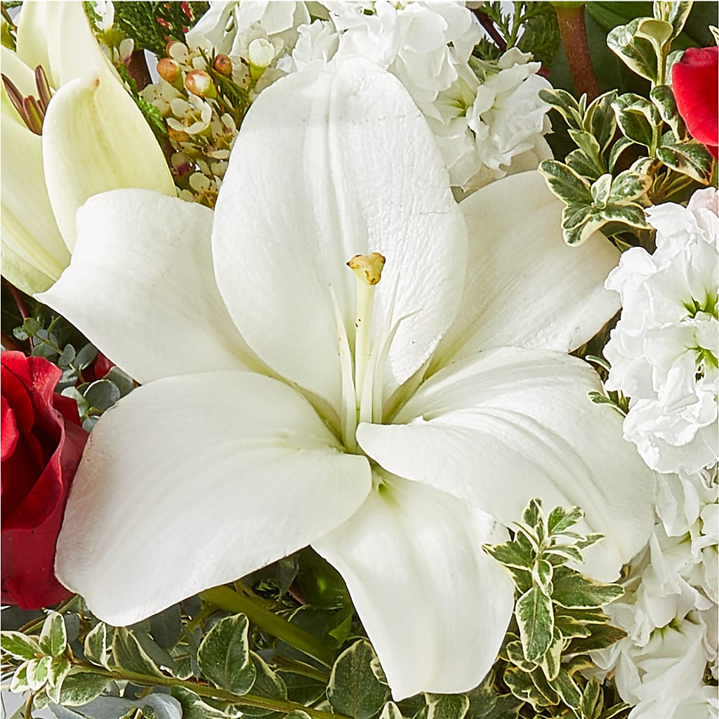 Twinkle Lights Bouquet –  Fairy Queen Floral, Madera CA