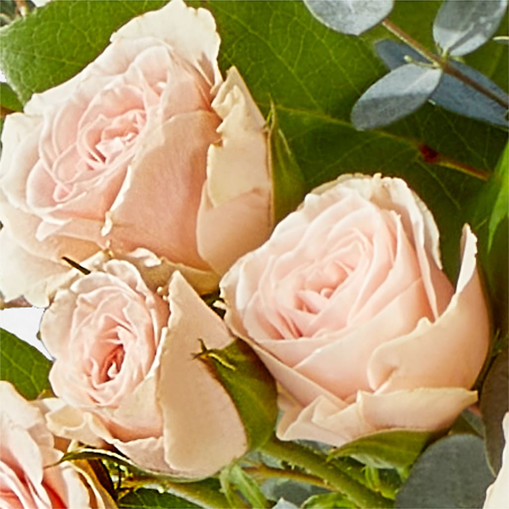 Inspired Bouquet –  Fairy Queen Floral, Madera CA