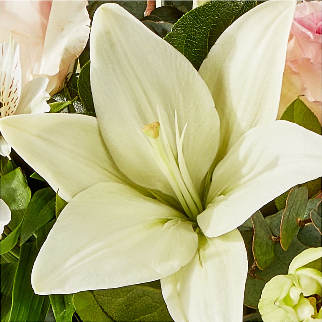 Ballet Slippers Bouquet –  Fairy Queen Floral, Madera CA