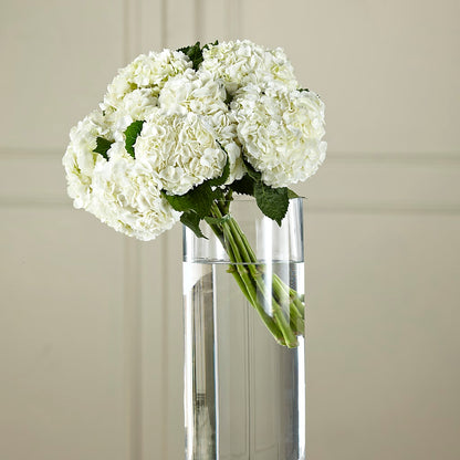 White Hydrangea Hand-Tied Bouquet –  Fairy Queen Floral, Madera CA