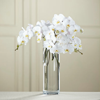 White Phalaenopsis Bouquet –  Fairy Queen Floral, Madera CA