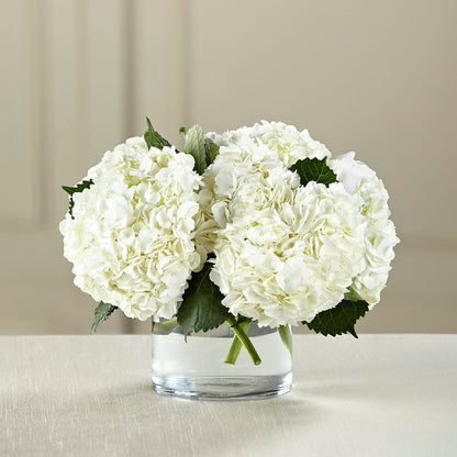 White Hydrangea Bouquet –  Fairy Queen Floral, Madera CA